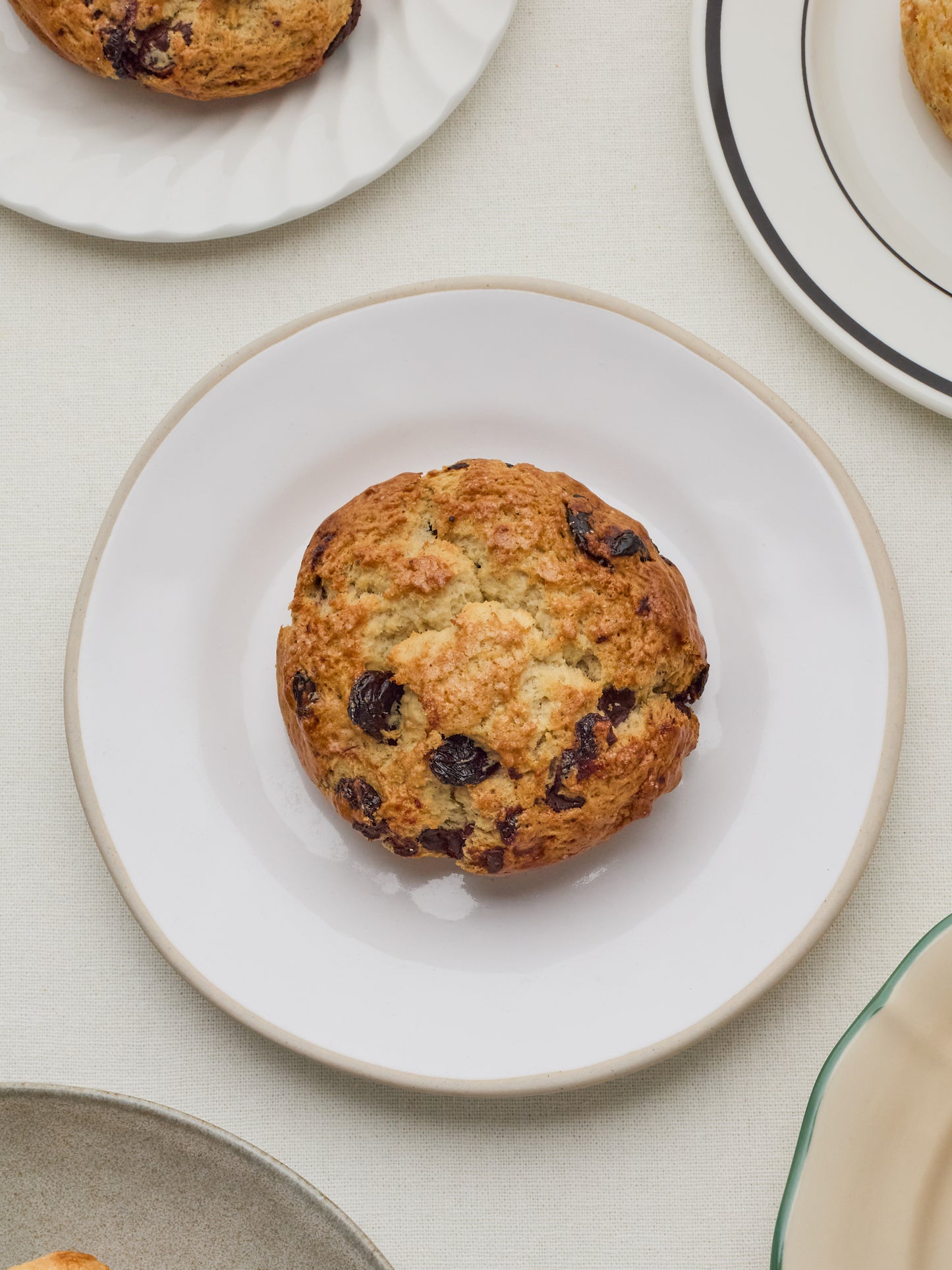 Sour Cherry and Chocolate Scone | GAIL's Bakery