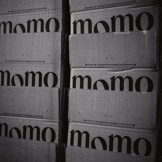 GAIL’s x Momo Kombucha: A Fascination With Fermentation