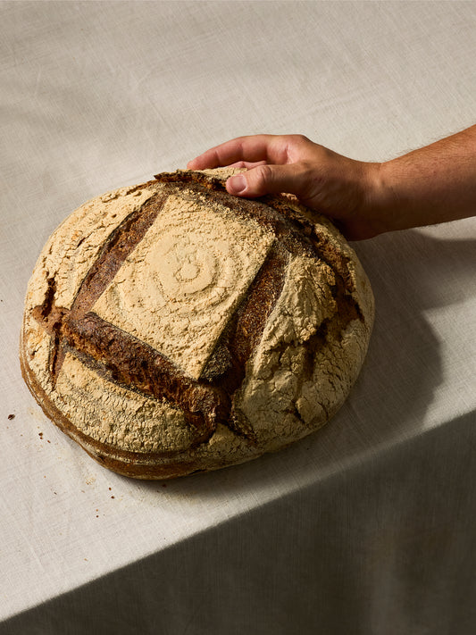 GAIL's Sourdough 2kg | GAIL's Bakery