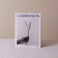 Companion | GAIL's Bakery