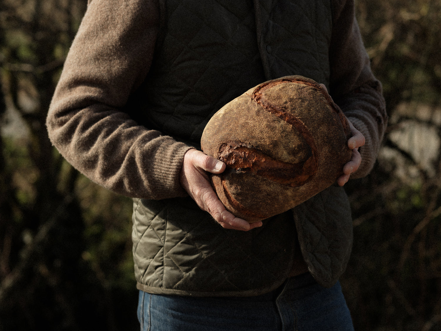 Brown Sourdoughs | GAIL's Bakery