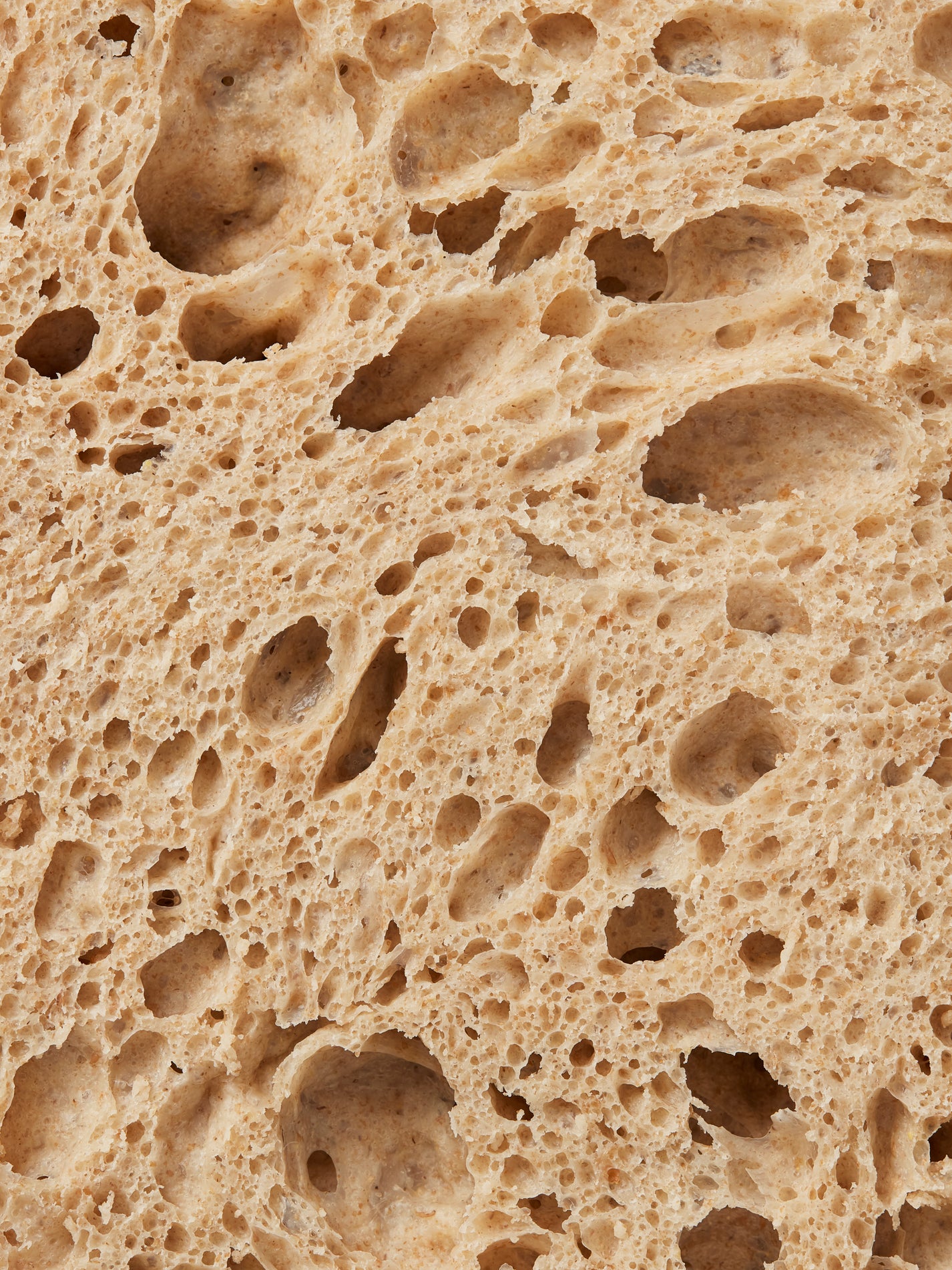 GAIL's Sourdough 2kg | GAIL's Bakery