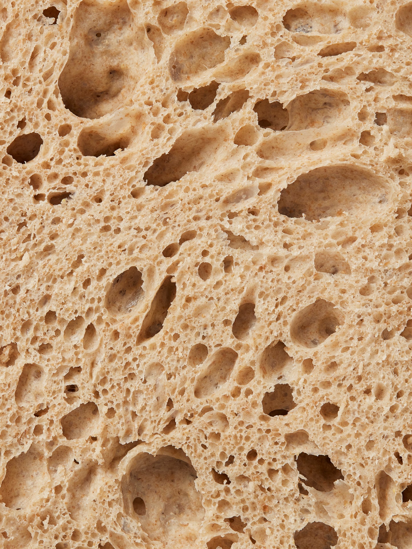 GAIL's Sourdough 2kg | GAIL's Bakery