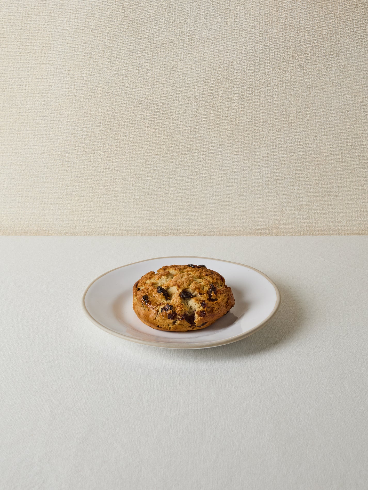 Sour Cherry and Chocolate Scone | GAIL's Bakery