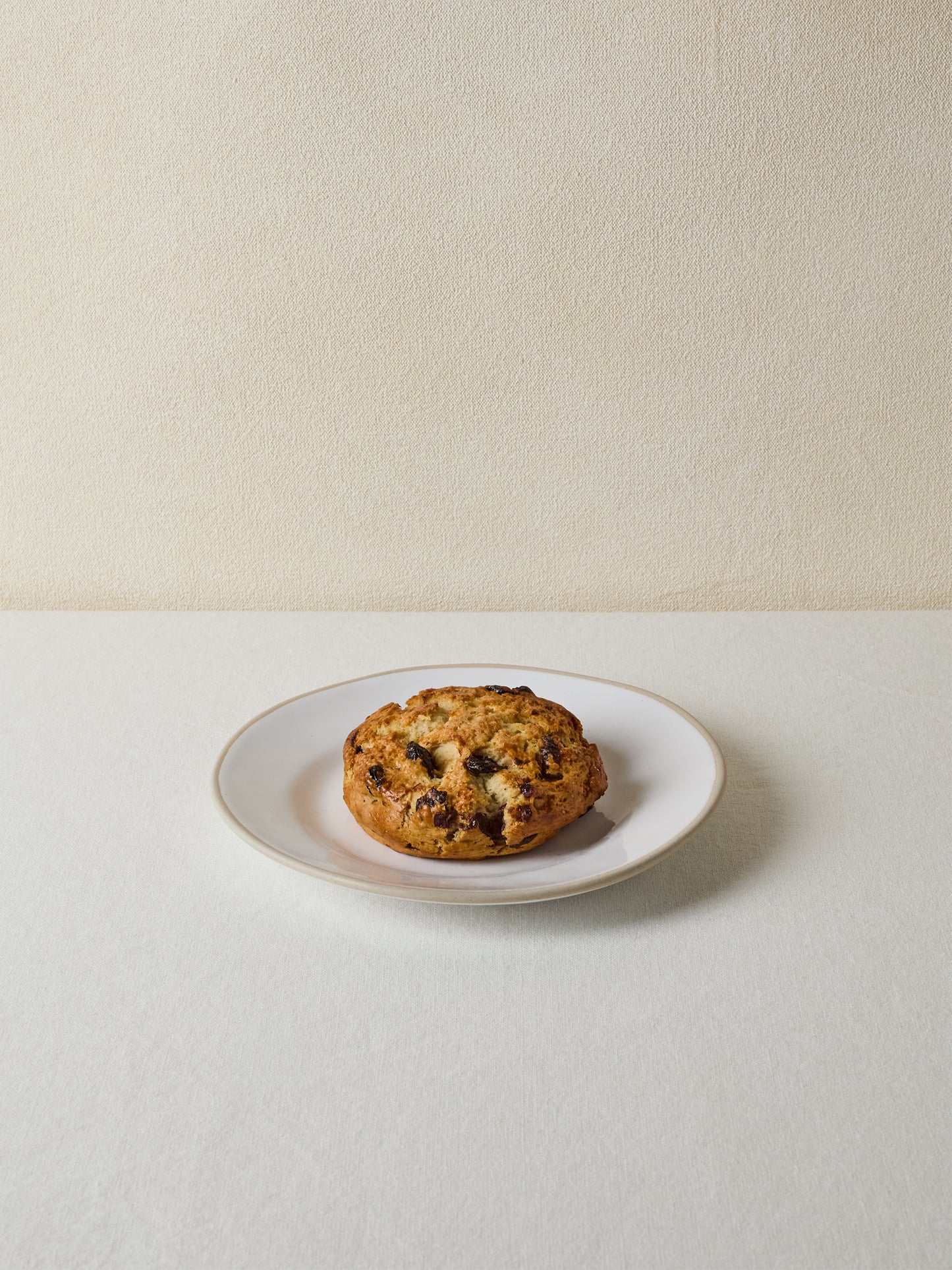 Sour Cherry and Chocolate Scone | GAIL's Bakery