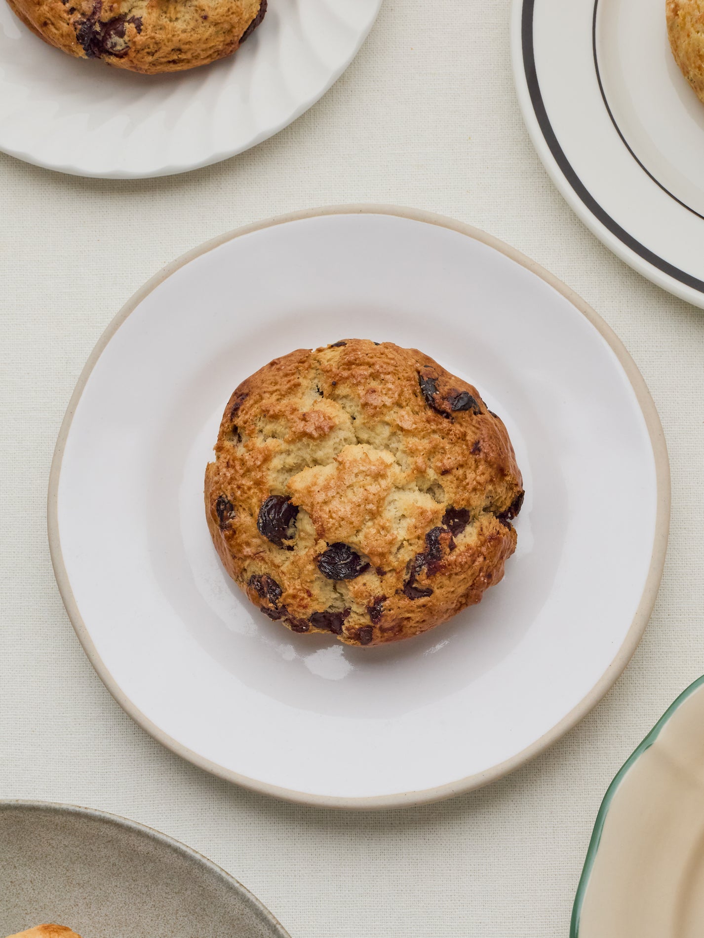 Sour Cherry and Chocolate Scone | GAIL's Bakery