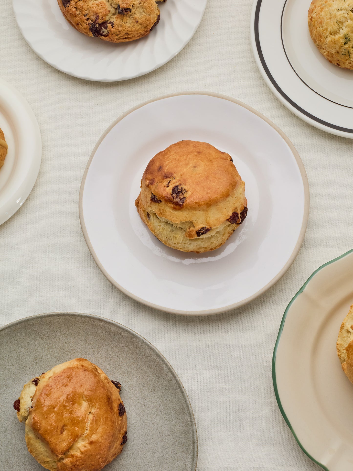 Sultana Scone | GAIL's Bakery